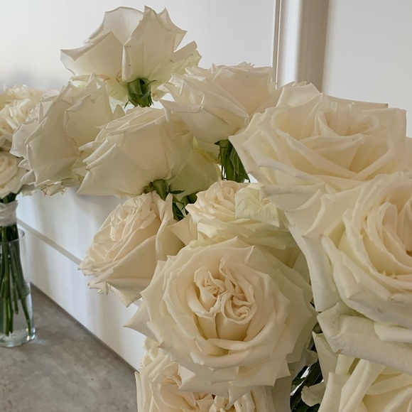 Meet your Posher, Kell - Picture 1 of 1